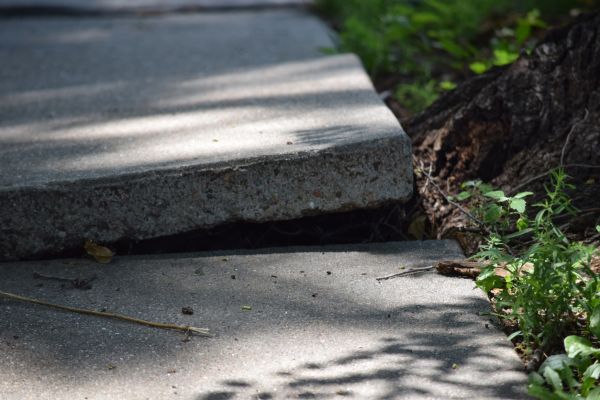Sidewalk Leveling in Lake Stevens